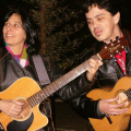 Canta Viola