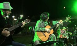 Nas Cordas da Viola